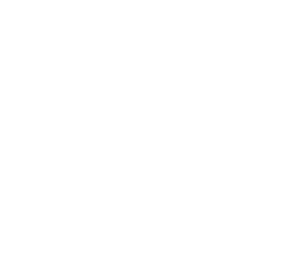 Billecart Salmon