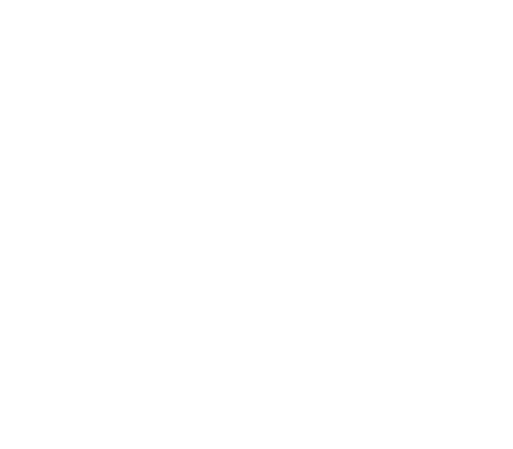 Vicnte Faria